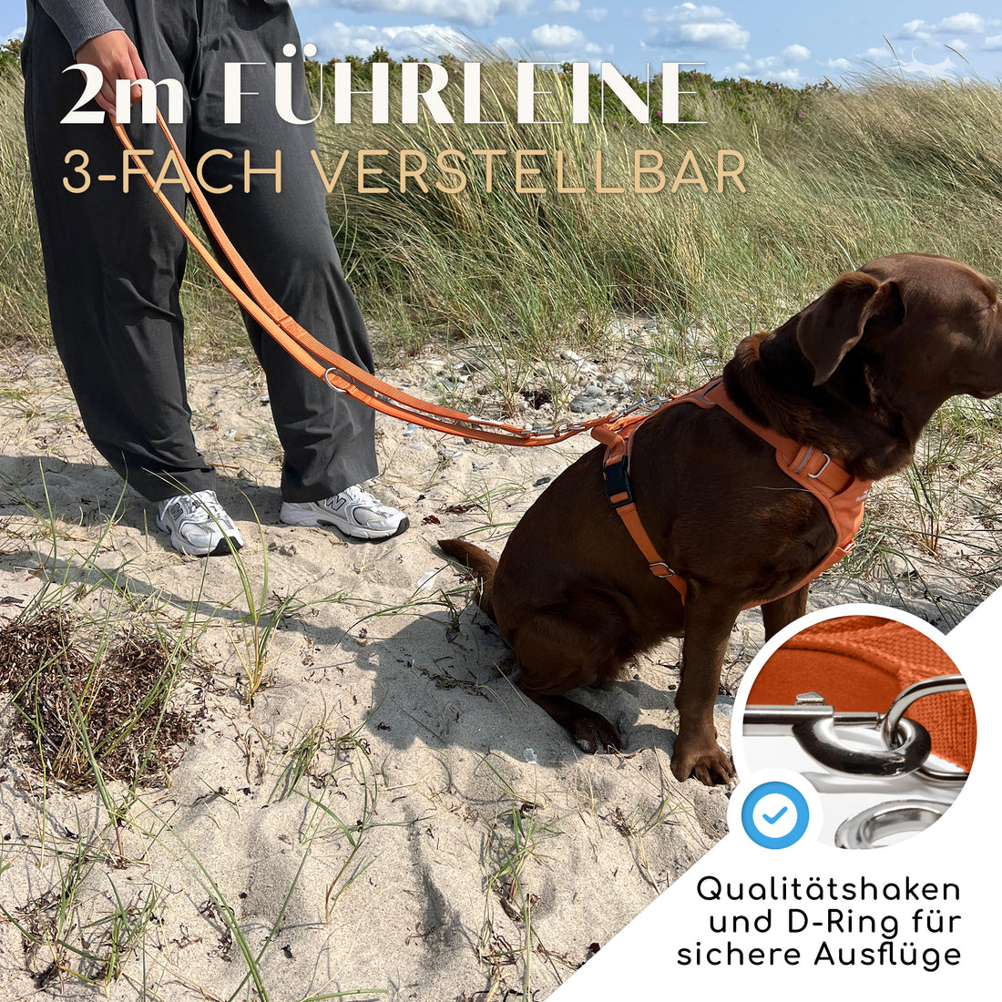 Hundeleine mit weicher Polsterung - Clyde Kollektion in Sunset Orange