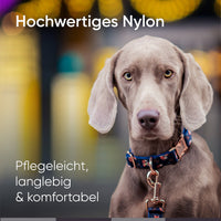 Die Let’s get Foxy Kollektion - Stilvolle Verspieltheit im Set