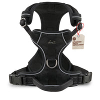 NEU: Atmungsaktives Hundegeschirr - Clyde Kollektion in Sunset Orange