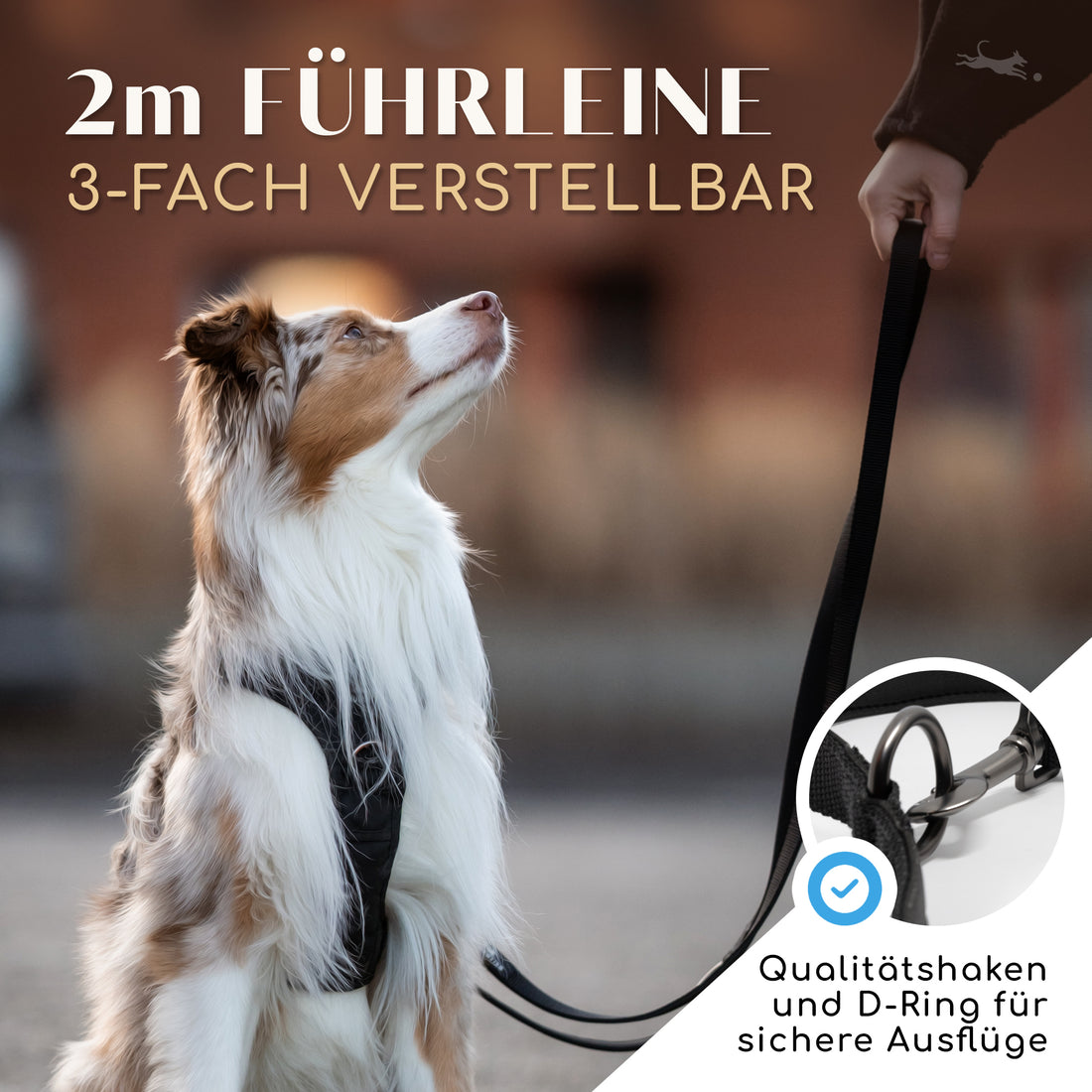 Hundeleine mit weicher Polsterung - Clyde Kollektion in Schwarz