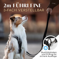 Hundeleine mit weicher Polsterung - Clyde Kollektion in Schwarz