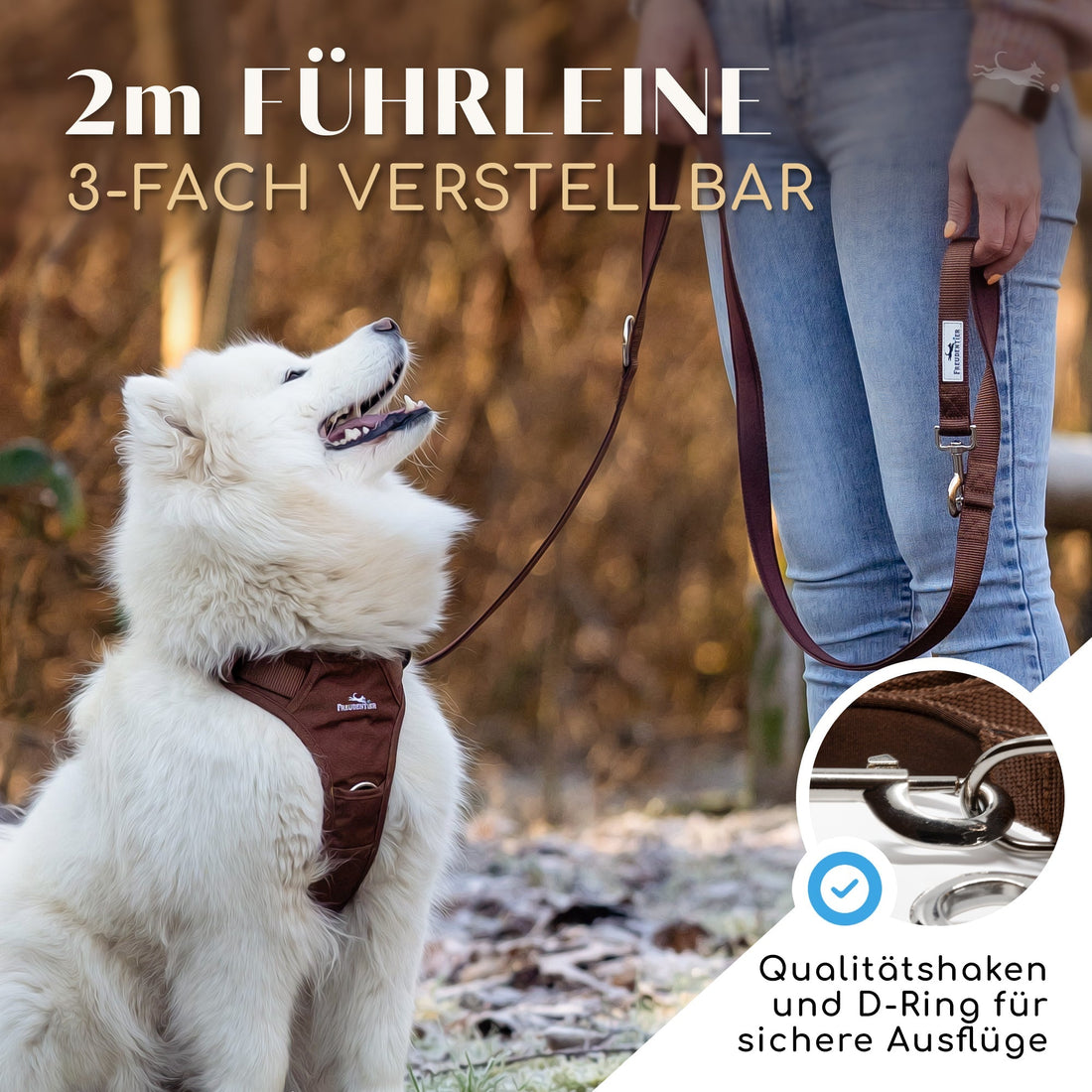 Hundeleine mit weicher Polsterung - Clyde Kollektion in Chocolate