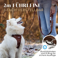 Hundeleine mit weicher Polsterung - Clyde Kollektion in Chocolate