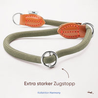 Hundehalsband mit Zugstopp - Harmony Kollektion in waldgrün