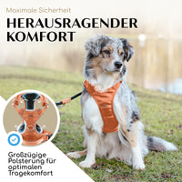 NEU: Atmungsaktives Hundegeschirr - Clyde Kollektion in Sunset Orange