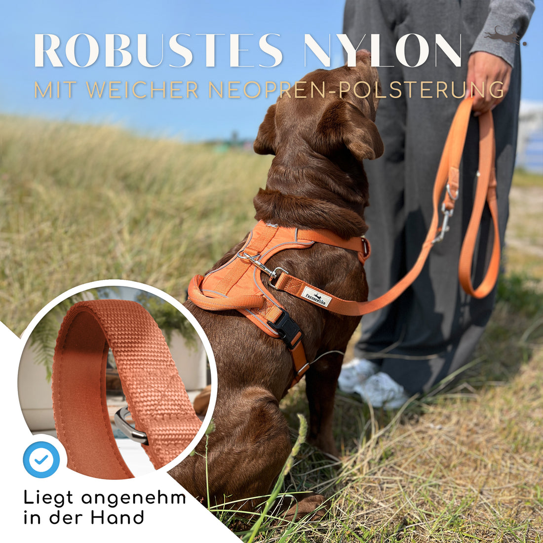 Hundeleine mit weicher Polsterung - Clyde Kollektion in Sunset Orange