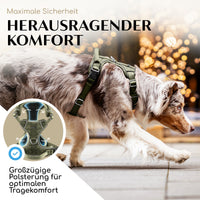 NEU: Atmungsaktives Hundegeschirr - Clyde Kollektion in Forest Green