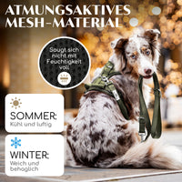 NEU: Atmungsaktives Hundegeschirr - Clyde Kollektion in Forest Green