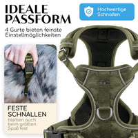 NEU: Atmungsaktives Hundegeschirr - Clyde Kollektion in Forest Green