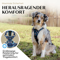 Atmungsaktives Hundegeschirr - Let's get Foxy Kollektion