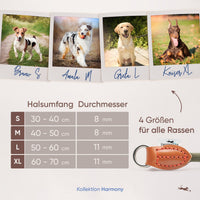 Hundehalsband mit Zugstopp - Harmony Kollektion in waldgrün