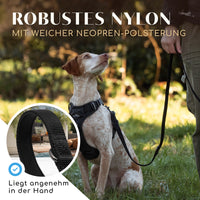 Hundeleine mit weicher Polsterung - Clyde Kollektion in Schwarz