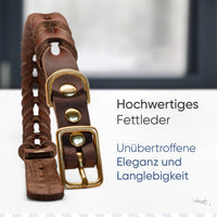 Hundehalsband aus Fettleder - AlsterTwist Kollektion in Chocolate