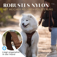 Hundeleine mit weicher Polsterung - Clyde Kollektion in Chocolate