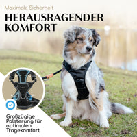 Atmungsaktives Hundegeschirr - Clyde Black Edition