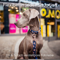 Die Let’s get Foxy Kollektion - Stilvolle Verspieltheit im Set