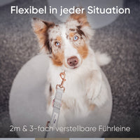 Hundeleine aus veganem Leder - Hyde Park Kollektion 2.0