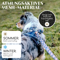 Atmungsaktives Hundegeschirr - Let's get Foxy Kollektion