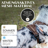 Atmungsaktives Hundegeschirr - Clyde Kollektion in Chocolate