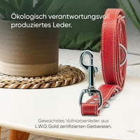 Hundeleine aus Leder - Amstelpark Kollektion in Spicy Red