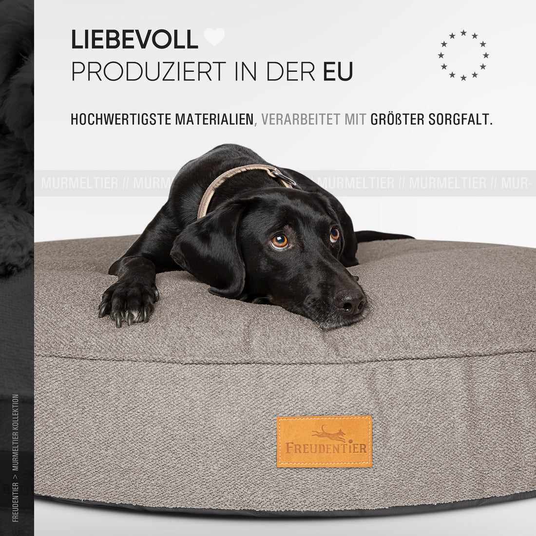 Rundes Orthopädisches Hundebett - Murmeltier in Dunkelgrau
