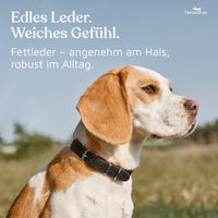 NEU: Hundehalsband aus Leder - Alsterufer Kollektion in Midnight