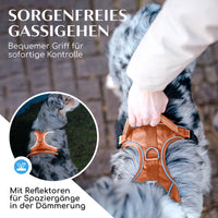 NEU: Atmungsaktives Hundegeschirr - Clyde Kollektion in Sunset Orange