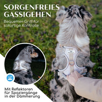 Atmungsaktives Hundegeschirr - Clyde Kollektion