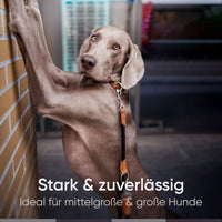 Runde Hundeleine in 2m & 3m - Model Harmony in Schwarz