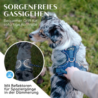 Atmungsaktives Hundegeschirr - Let's get Foxy Kollektion