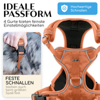 NEU: Atmungsaktives Hundegeschirr - Clyde Kollektion in Sunset Orange