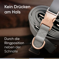 Hundehalsband aus veganem Leder - Hyde Park Kollektion 2.0