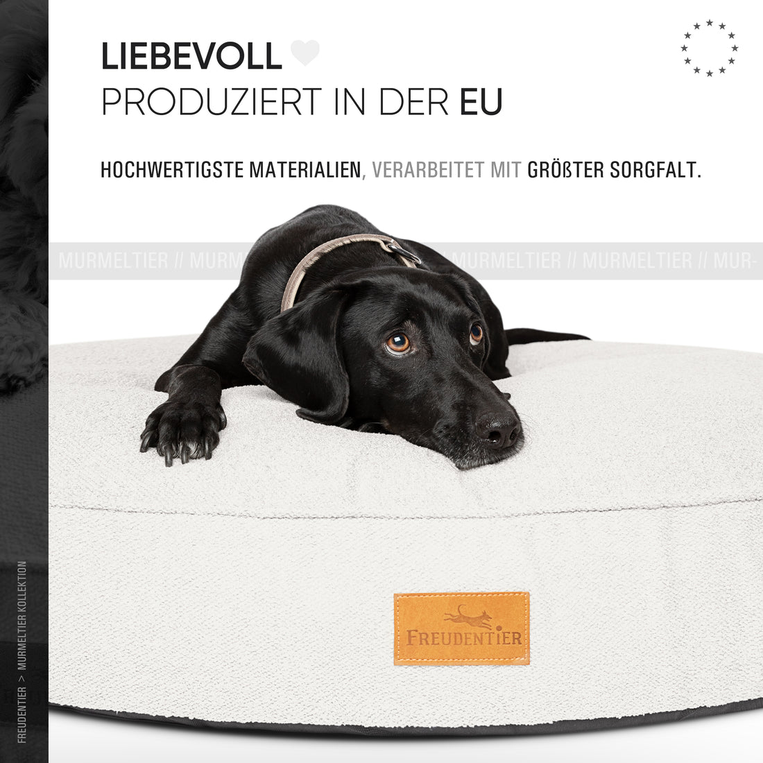 Rundes Orthopädisches Hundebett - Murmeltier in Cremeweiß