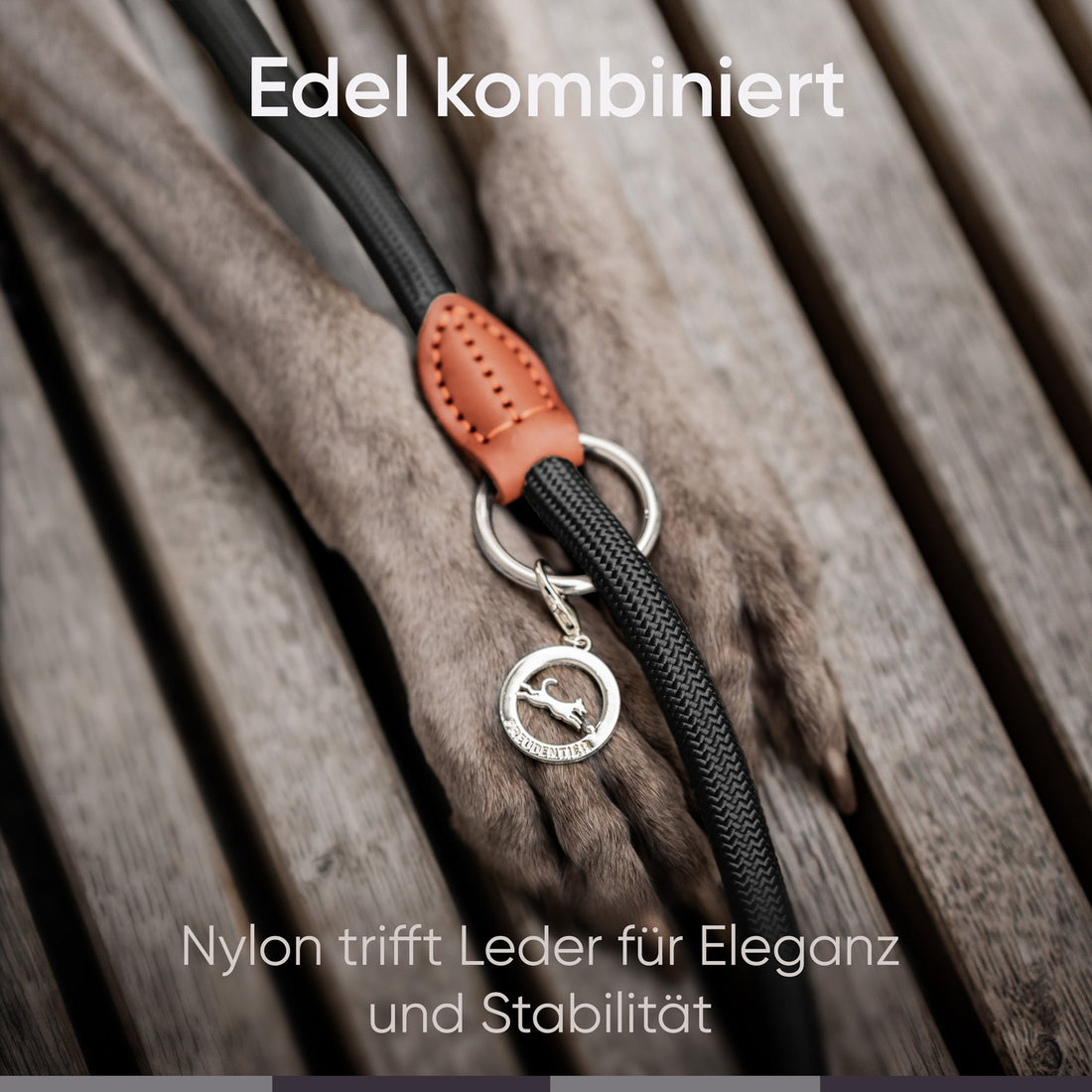 Runde Hundeleine in 2m & 3m - Model Harmony in Schwarz