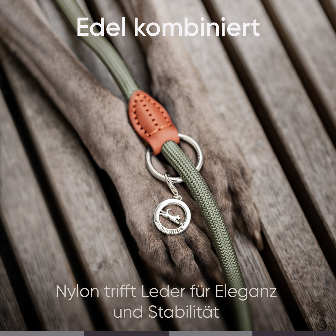 Runde Hundeleine in 2m & 3m - Model Harmony in Waldgrün