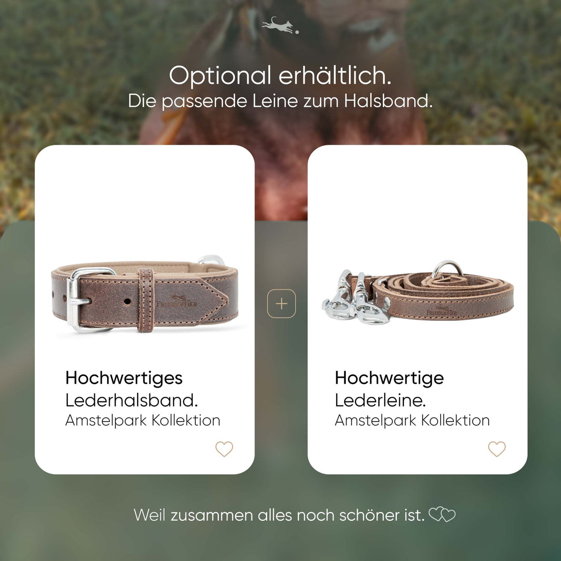 Hundehalsband aus Leder - Amstelpark Kollektion in Dark Chocolate