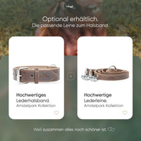 Hundehalsband aus Leder - Amstelpark Kollektion in Dark Chocolate