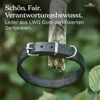 NEU: Hundehalsband aus Leder - Alsterufer Kollektion in Midnight
