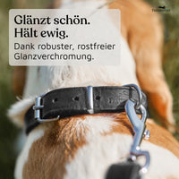 NEU: Hundehalsband aus Leder - Alsterufer Kollektion in Midnight