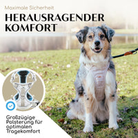 Atmungsaktives Hundegeschirr - Clyde Kollektion