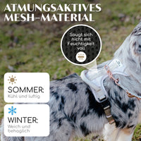 Atmungsaktives Hundegeschirr - Clyde Kollektion