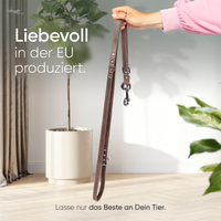 Hundeleine aus Leder - Amstelpark Kollektion in Dark Chocolate