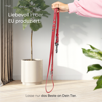 Hundeleine aus Leder - Amstelpark Kollektion in Spicy Red