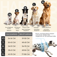Atmungsaktives Hundegeschirr - Clyde Kollektion in Chocolate