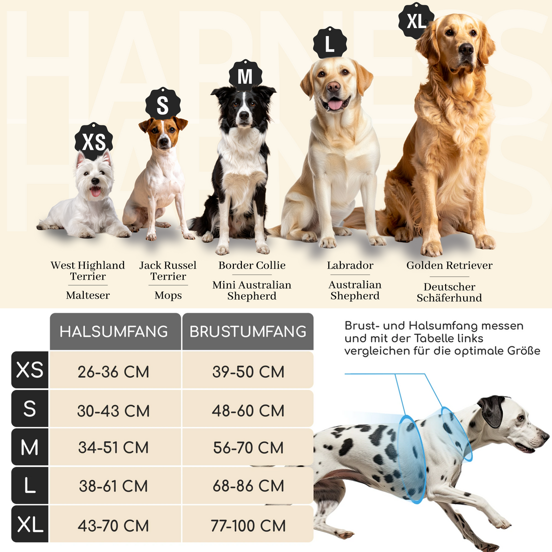 Atmungsaktives Hundegeschirr - Clyde Kollektion