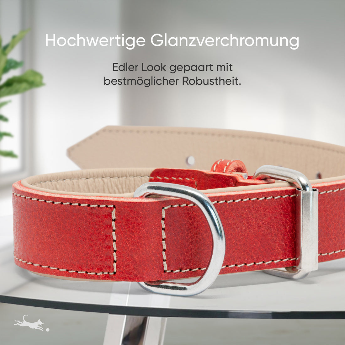 Hundehalsband aus Leder - Amstelpark Kollektion in Spicy Red