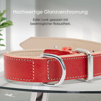 Hundehalsband aus Leder - Amstelpark Kollektion in Spicy Red