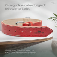 Hundehalsband aus Leder - Amstelpark Kollektion in Spicy Red