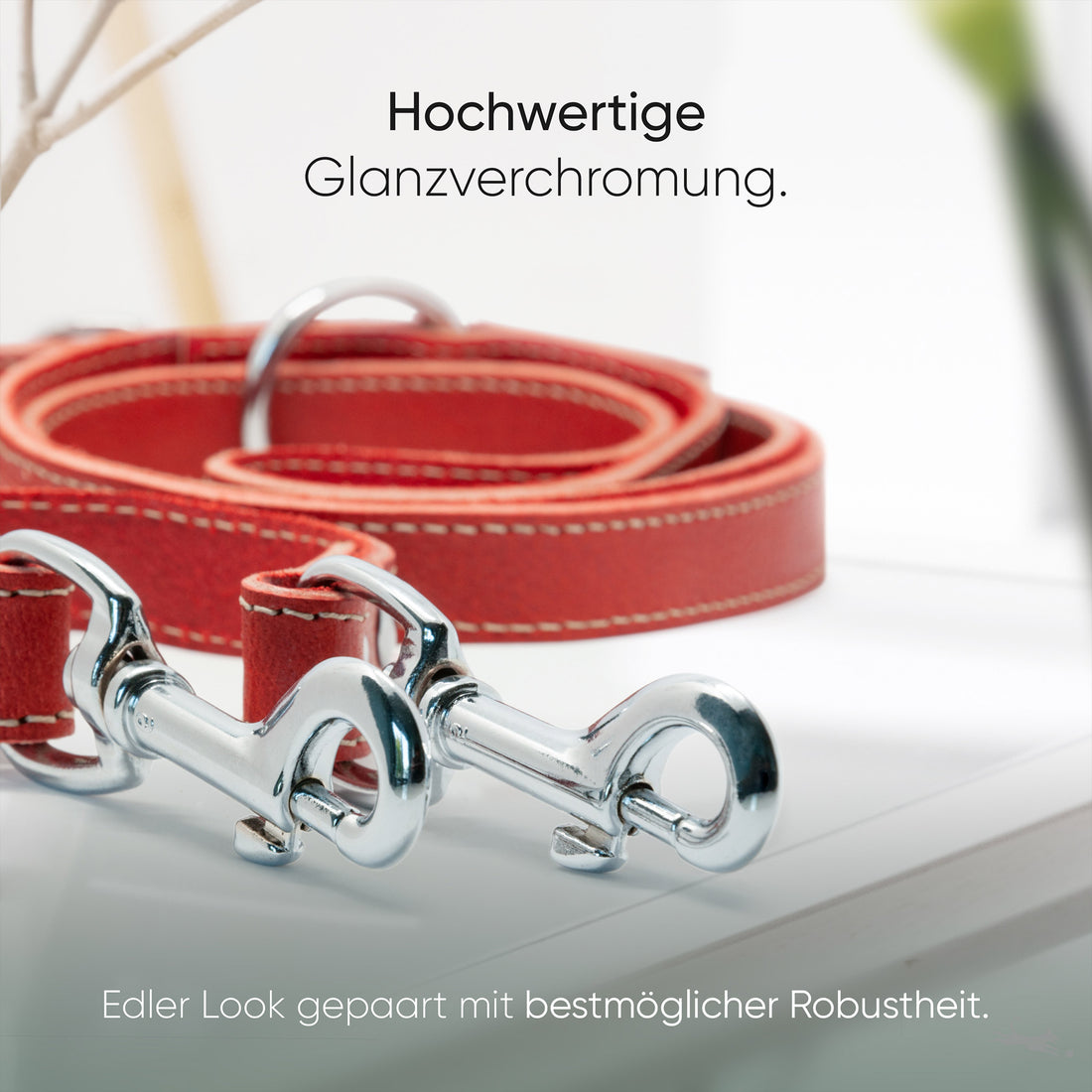 Hundeleine aus Leder - Amstelpark Kollektion in Spicy Red