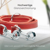 Hundeleine aus Leder - Amstelpark Kollektion in Spicy Red